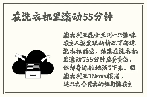 麻豆媒传媒网站入口